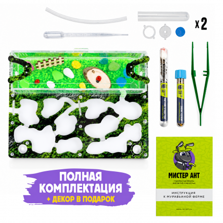 Муравьиная ферма Медиум «Горный мох» с муравьями